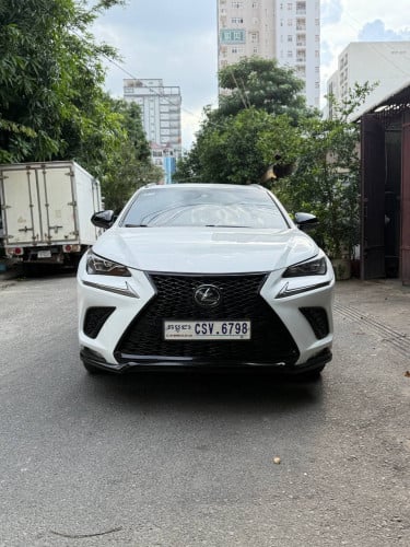 Lexus Nx 300 2019 F Sport Full