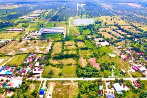 ដីលក់បន្ទាន់ ទីតាំងនៅទន្លេបាទី 3ហាត់ដីជាប់ផ្លូវជាតិលេខ២ ទៅផ្លូវជាតិលេខ៣ លក់ក្រោមទីផ្សារ 1ការ៉េ 55$