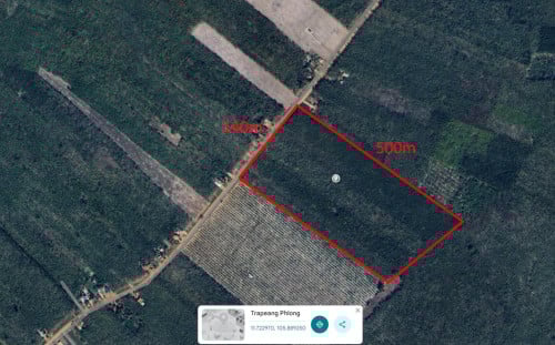 ចំការកៅស៊ូជាស្រាប់លក់មាន7ហាត់1ហាត់50,000$ចចារ088 558 8898 0719988732