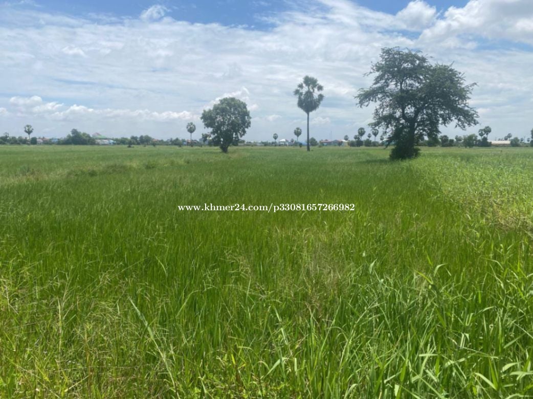 Land Available for Urgent Sale at a Special Price (Negotiable).