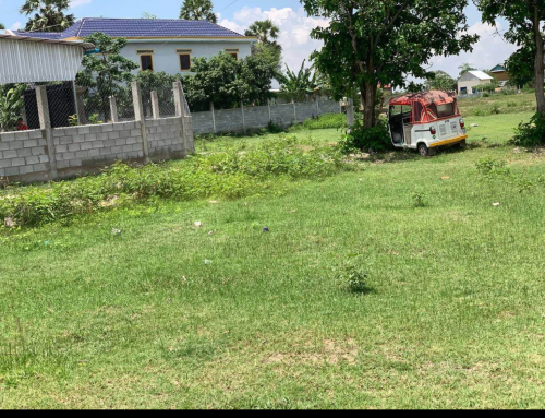 ដីក្បែររោងចក្រម្ចាស់កុនលុយត្រូវកាលក់បន្ទាន់