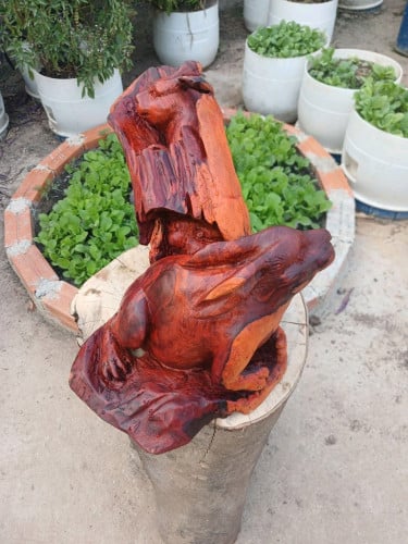 ទន្សាយឈើធ្នង់អណ្តែតទឹក