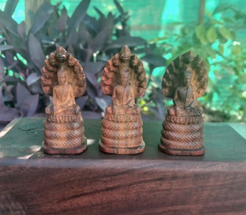 បញ្ចុះតម្លៃ50%មកដល់ទីតាំងផ្ទាល់