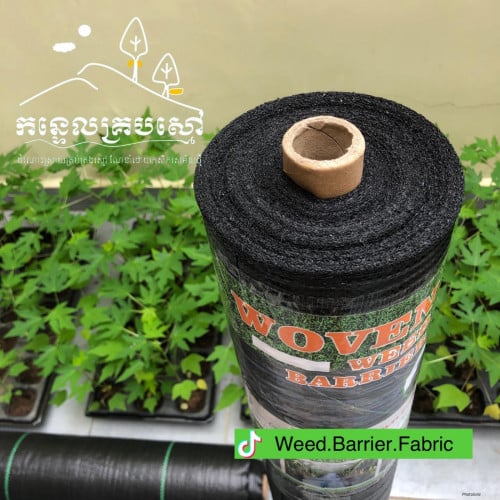 តង់គ្របស្មៅ ឬ កន្ទេលគ្របស្មៅ ឬកម្រាលគ្របតាមគល់ដំណាំ ការពារស្មៅមិនឱ្យដុះ ប្រភេទ PE ម៉ាកHG អ៉ឺរ៉ុប