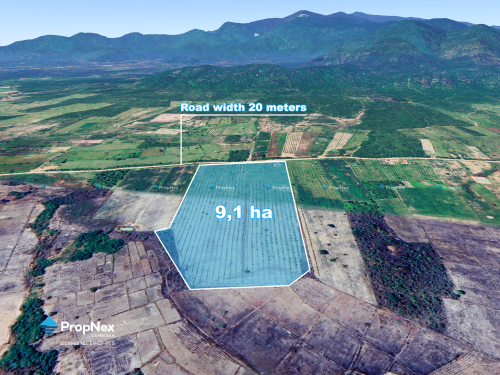 🌳 FOR SALE: 9 Hectares Cashew Nut Farm – Kampong Chhnang, Cambodia