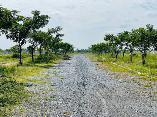 Land For Sale & Rent Along Samdech Hun Sen Blvd / 洪森大道(60米路)黄金地段出售与出租