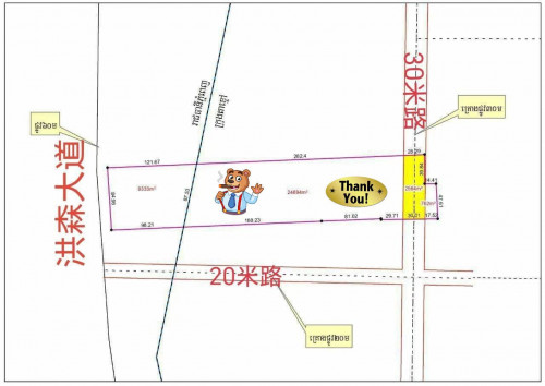 Land For Sale & Rent Along Samdech Hun Sen Blvd / 洪森大道(60米路)黄金地段出售与出租