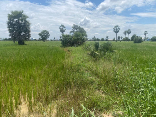 Land Available for Urgent Sale at a Special Price (Negotiable).