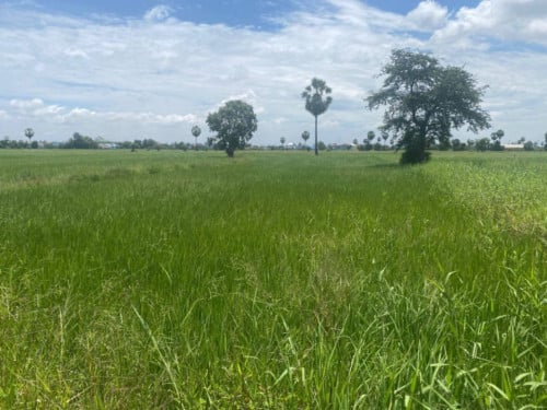 Land Available for Urgent Sale at a Special Price (Negotiable).