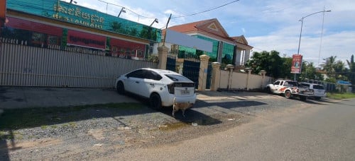 ដីឡូត៍ធ្លាធំល្អ មានផ្ទះវីឡា១ និងមានហាងអាហារដ្ឋាន