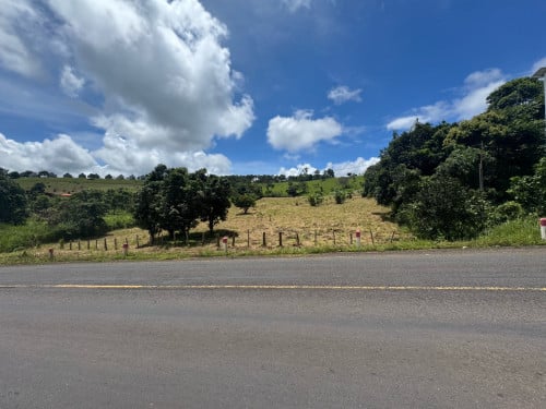 ដីលក់សម្រាប់ ធ្វើរីស៊ត រីក៏ផ្ទះលំហែរ 15$/m2 ចរចារ