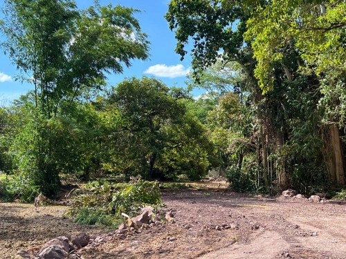 🏞️ ដីលក់ជាប់មាត់ព្រែក ប្រវែង ៣០០ មែត្រ / Riverside Land For Sale – 300 Meter Wide Along Riverfront