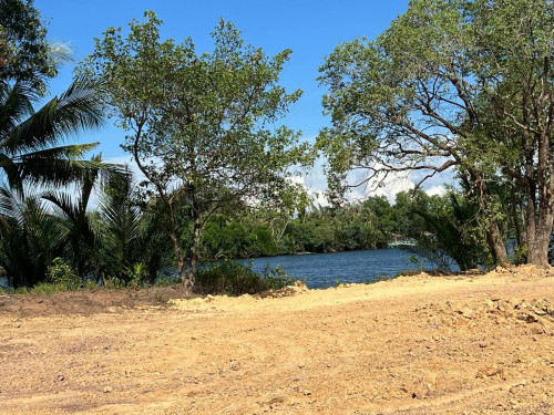 🏞️ ដីលក់ជាប់មាត់ព្រែក ប្រវែង ៣០០ មែត្រ / Riverside Land For Sale – 300 Meter Wide Along Riverfront