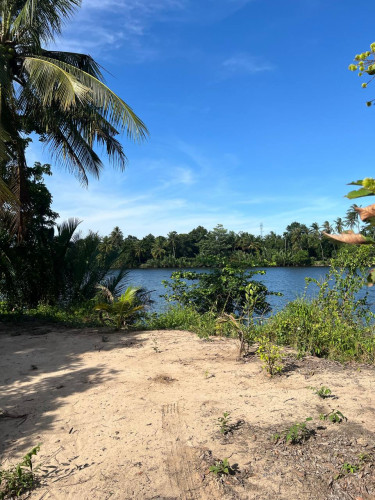 🏞️ ដីលក់ជាប់មាត់ព្រែក ប្រវែង ៣០០ មែត្រ / Riverside Land For Sale – 300 Meter Wide Along Riverfront