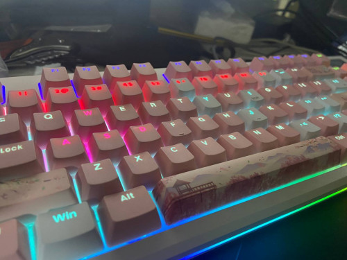 🔥 For Sale: Mechanical Gaming Keyboard – Only $65 🔥
