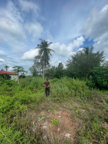 ដីលក់បន្ទាន់ទៅតាមបណ្ដោយផ្លូវជាតិលេខ66 ខេត្តសៀមរាប