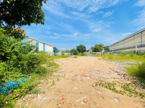 ដីកែង លក់ ឬ ជួល - CORNER LAND FOR SALE OR RENT