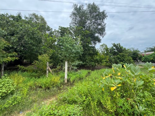 ដីលក់បន្ទាន់ខាងលិចជាប់ផ្លូវជាតិ 51