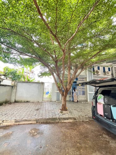 ផ្ទះសំរាប់ជួល350$  រឺលក់77000$ចរចារបាន