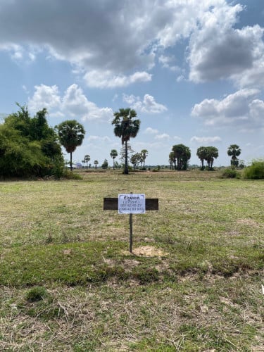 🟢 ដីស្រែ 27អារ លក់ម៉ៅ 💰 តម្លៃចរចា!