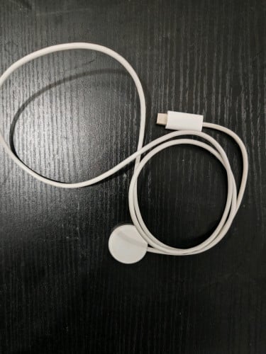 Apple Watch original charger
