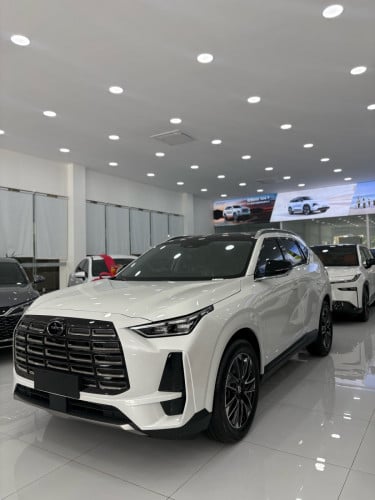 GAC GS4 Max Flagship Full Option 2025 🔥