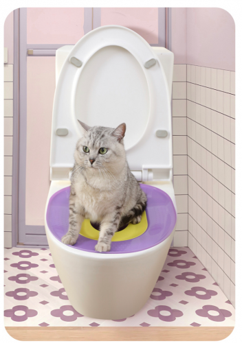 បង្គន់សំរាប់បង្រៀនឆ្មារ