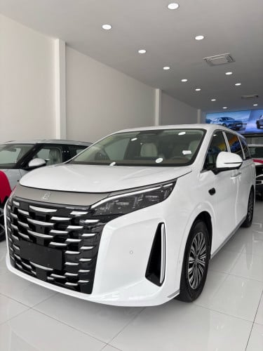 BYD XIA 2025