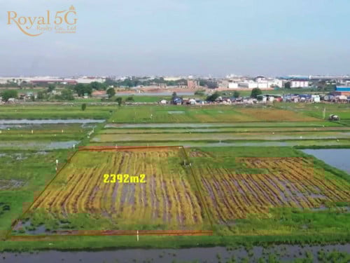 ដីសម្រាប់លក់នៅជើងឯក ខណ្ឌដង្កោ