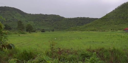 ដីចំការ ប្លង់រឹង ភូមិដំណាក់ត្រយឹង ឃុំ តាកែន ស្រុក ឈូក ខេត្ត កំពត