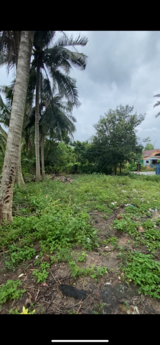 (កំពង់សោម)ដីលក់ ក្នុងតំបន់អភិវឌ្ឍ Ream City