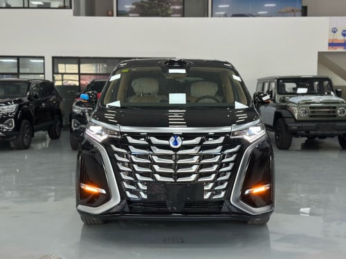 Denza d9 ( DM-I ) half full option 2025