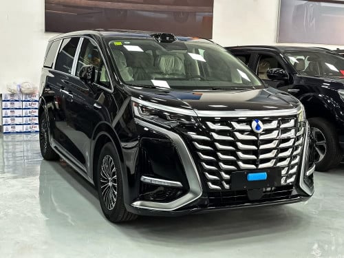 Denza d9 half full option ( DM-I ) 2025