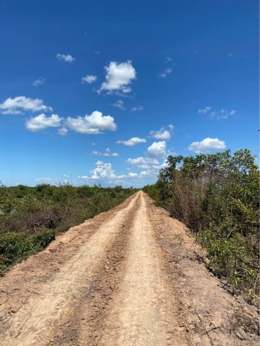 ដីស្រែប្រាំងលក់ ដីទំនប់ ១៩៧៨