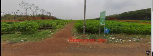 ដីលក់ នៅតាមផ្លូវកៅស៑ូ  0719988732