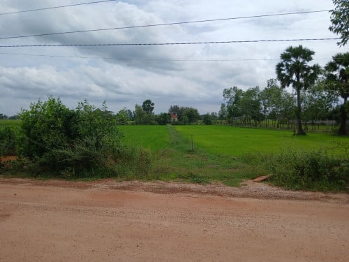 Farm For Sale/Lease in Ba Phnom, Prey Veng Province.  កសិដ្ឋានសម្រាប់លក់/ជួល នៅបាភ្នំ ខេត្តព្រៃវែង
