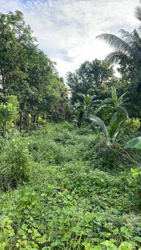 ដីលក់ ដីផ្ទាល់ខ្លួន