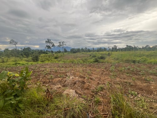 ដីលក់បន្ទាន់