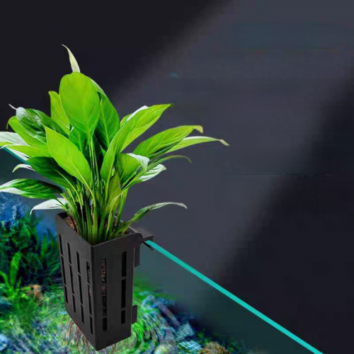 កន្រ្តកដាំរុក្ខជាតិទឹក 1.5$