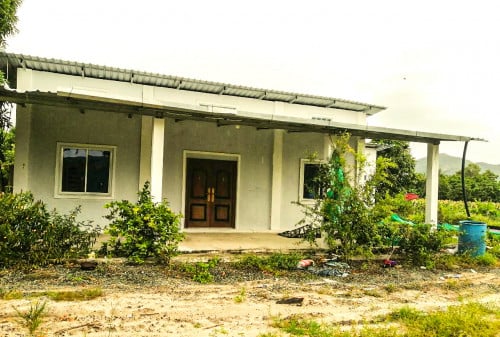 លក់ចំការស្វាយ​ 6.4 ហិកតា(ស្វាយ​មា​នគេជួលស្រាប់(ក្នុងមួយដេីម​បាន​ 2$)