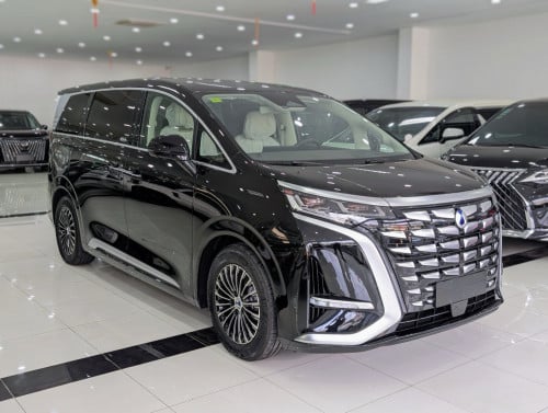 腾势 D9  Denza DM-i AWD