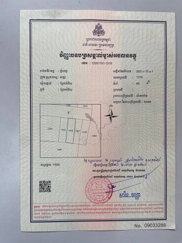 ដីឡូដ៍