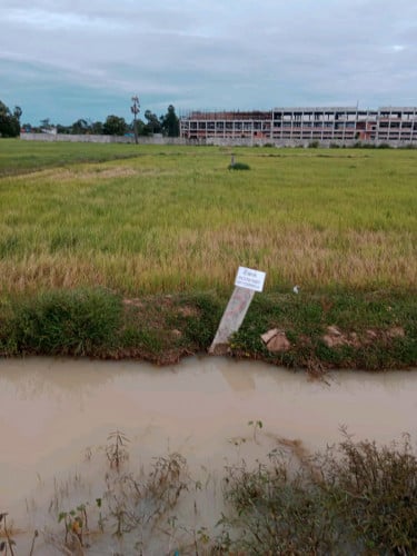 ដីលក់បន្ទាន់