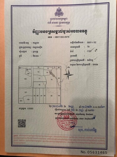 ដី 24*51m