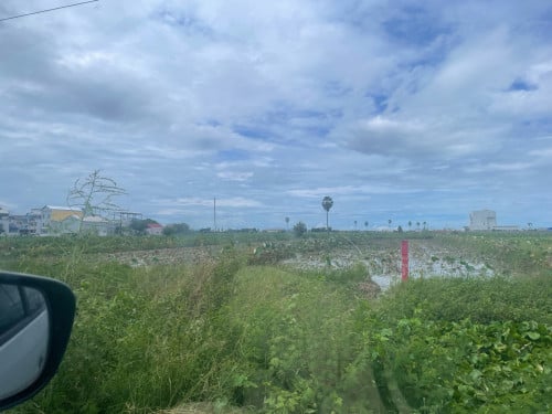 金边森速区3500平方土地出售