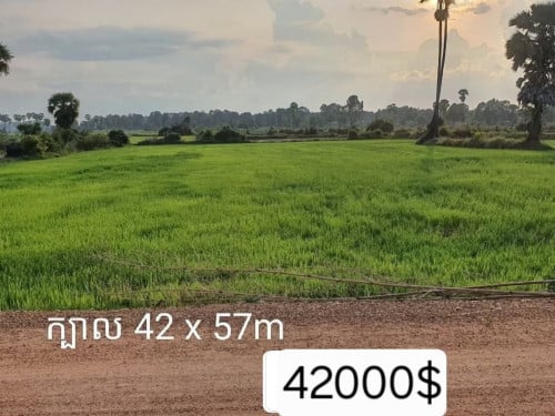 លក់ដីស្រែផ្ទាល់ខ្លួន ផ្លូវជាតិ6A