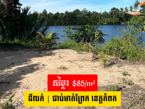 🏞️ ដីលក់ជាប់មាត់ព្រែក ប្រវែង ៣០០ មែត្រ / Riverside Land For Sale – 300 Meter Wide Along Riverfront