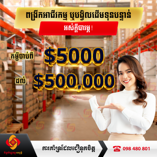 កម្ចីសម្រាប់អាជីវកម្ម