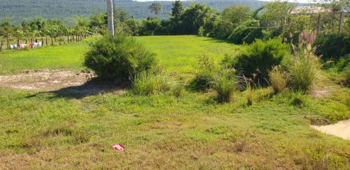 ដីលក់បន្ទាន់តម្លៃចរចាបាន