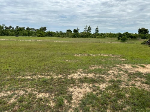 ដីលក់ប្លង់រឹង